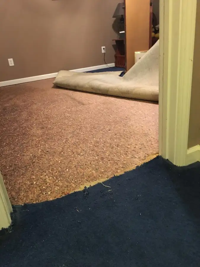 Carpet pad removal revealing water damage during Drying & Dehumidification in Mena